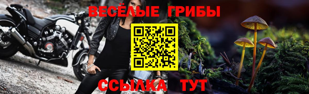 Галлюциногенные грибы Magic Shrooms  Вход с VPN  Гагарин  Галлюциногенные грибы мицелий 